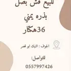 بصل