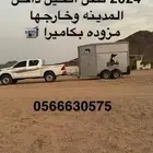 عربه نقل خيل داخل المدينة وضواحيها