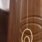 اضاءات