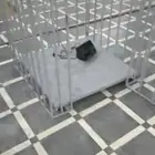 ميزان للمواشي بجميع المقاسات