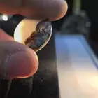 حجر عقيق مصور طفل