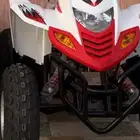 دباب تايواني