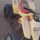 دباب سويدي 100 للبيع