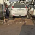 تايوتابرادوفورشنر