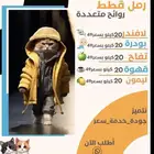 اكل قطط