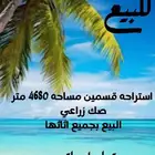 استراحة بالزلفي للبيع