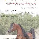 إيواء خيل