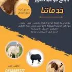 ذبايح للبيع مع صلخ وتوصيل