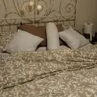 اثاث