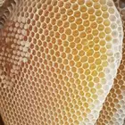 عسل سدر شمع علي الطلب الكيلو 350نقص لك ونت موجود علي نضر عي