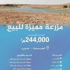 مزرعة للبيع - المجمعة