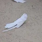 نفاخ قروبر مالطي مستوى فاخر