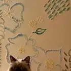 قط هملايا للتبني