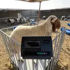 ميزان المواشي الألكتروني