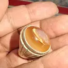 خواتم منوعه عقيق اندنوسي واحجار صياغه فضه اندنوسيه وتايلنديه