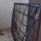 شبك سله لليوكن من 2000 إلى 2006