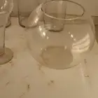 فازات زجاج