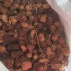 تمر علف