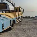 دينا ونش كرين