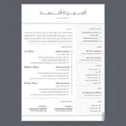 تصميم سيرة ذاتية بشكل احترافي بسعر مناسب