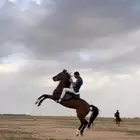 السلام عليكم ورحمة الله وبركاته