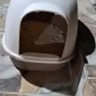 قفص القط وحمام القط