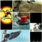 شركة تنظيف فلل شقق بالخبر