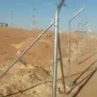 أشجار. ونخل.وسدر