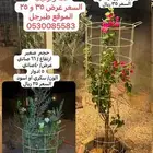 ستاند اشجار زينه وحمايه
