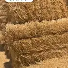 تبن بر جديد