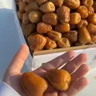 تمر القصيم