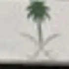 لوحه للبيع ر د س 9888