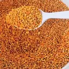 حبوب لقاح طازج