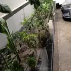 تنسيق حدائق جدة