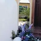 كوش افراح وتجهيز حفلات