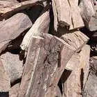 حطب أفريقي درجة أولى مسوين عرض 1600