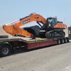 لوبد متواجد في طريف
