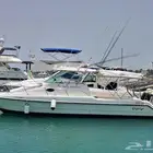 جدة مرسى البحر الاحمر