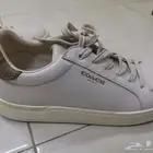 حذاء ماركة Coach
