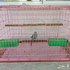 قفص طيور كبير الحجم