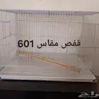 اقفاص جديد 601 - 600 - ابو اكالتين