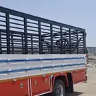 دنا بالدوادمي