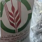 بذار برسيم