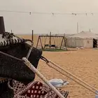 مخيم للإيجار