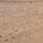 للبيع ارض حي الزهار