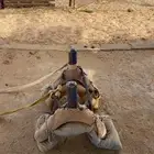 شداد  نظيف بالمرة
