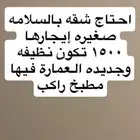 السلام عليكم