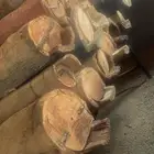 عربه 4 4 واعواد بلديه