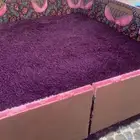 مجلس حريم كامل بدون مراكي