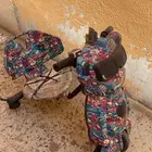 سكوتر
